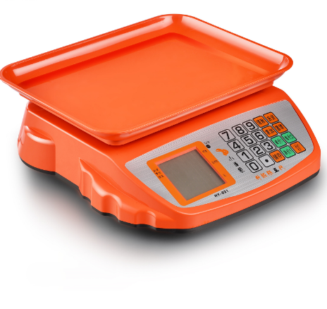 <b>Digital Rechargeable Price Computing Weighing Scale ACS-821</b>