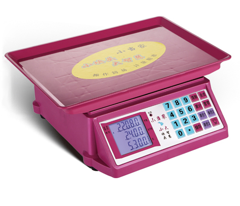 <b>Price Computing Weighing Scale For Fruits Vegetables ACS-802</b>