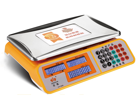 Handheld Balance Scale with Weight Set