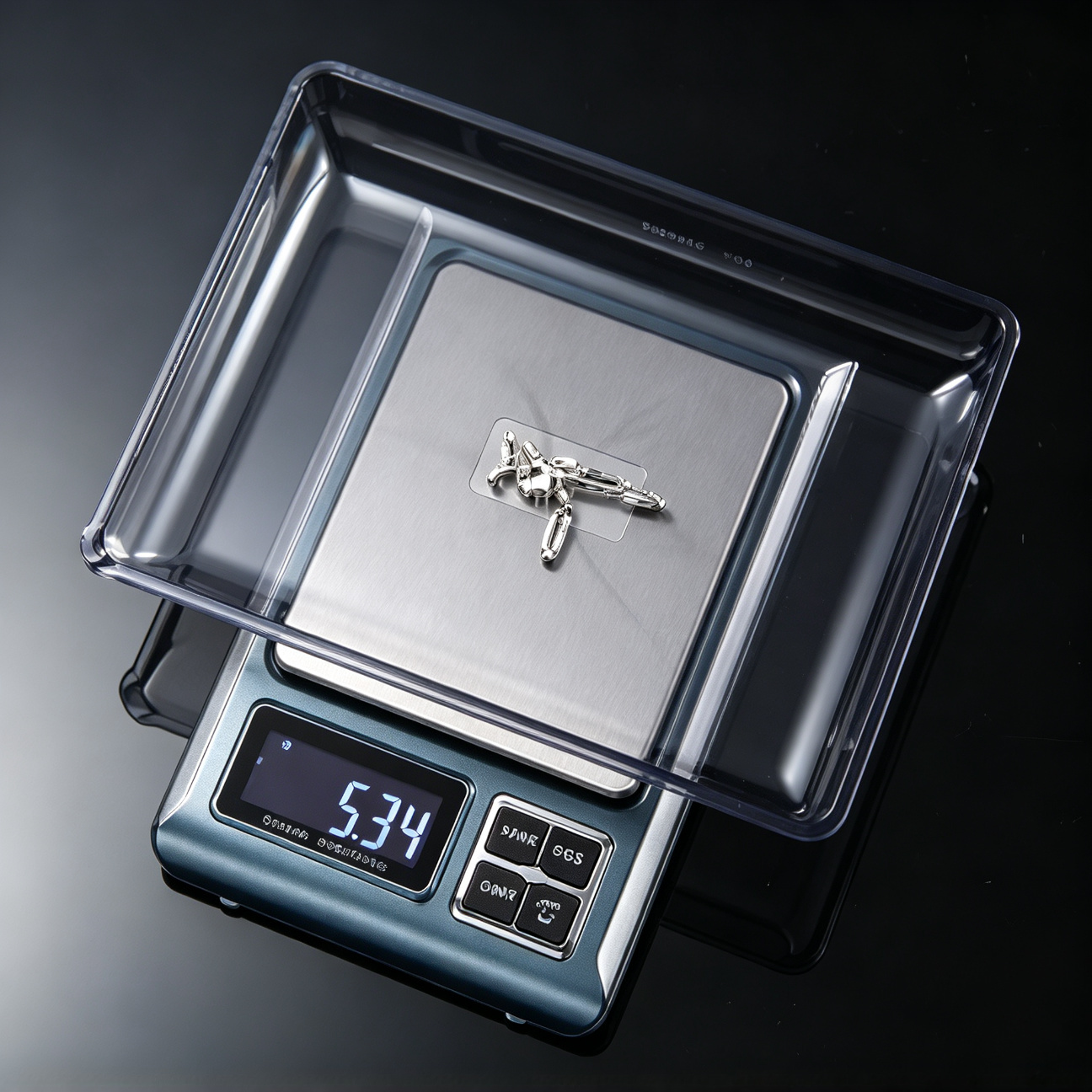 flyscale digital scale BL01